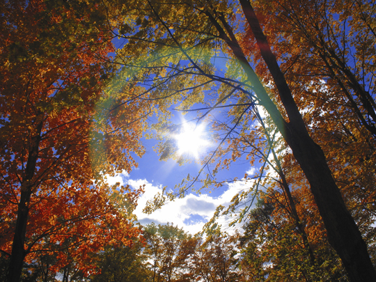 Autumn New England