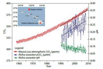 Atmospheric CO2 and Ocean pH