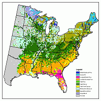 Current Forest Type Distribution for the Eastern U.S.