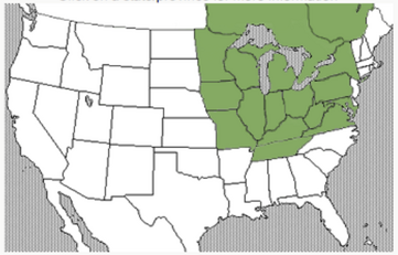 May, 2012 map of emerald ash borer location in U.S.