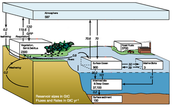 modified IPCC carbon cycle