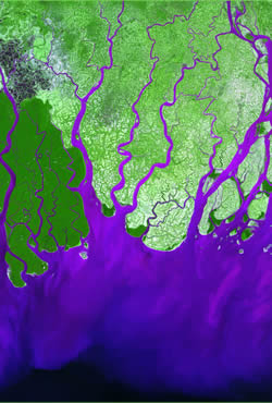 Ganges River Delta